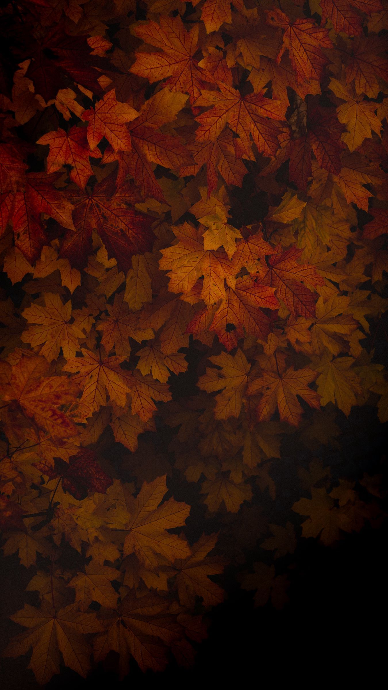 Dark Autumn Wallpapers