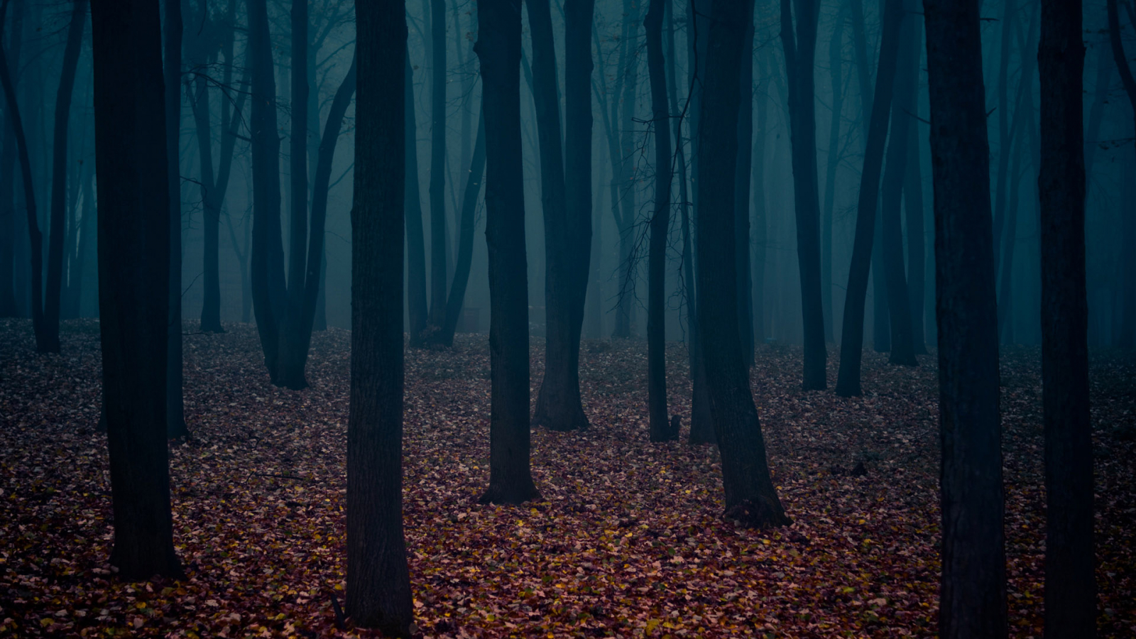 Dark Autumn Wallpapers