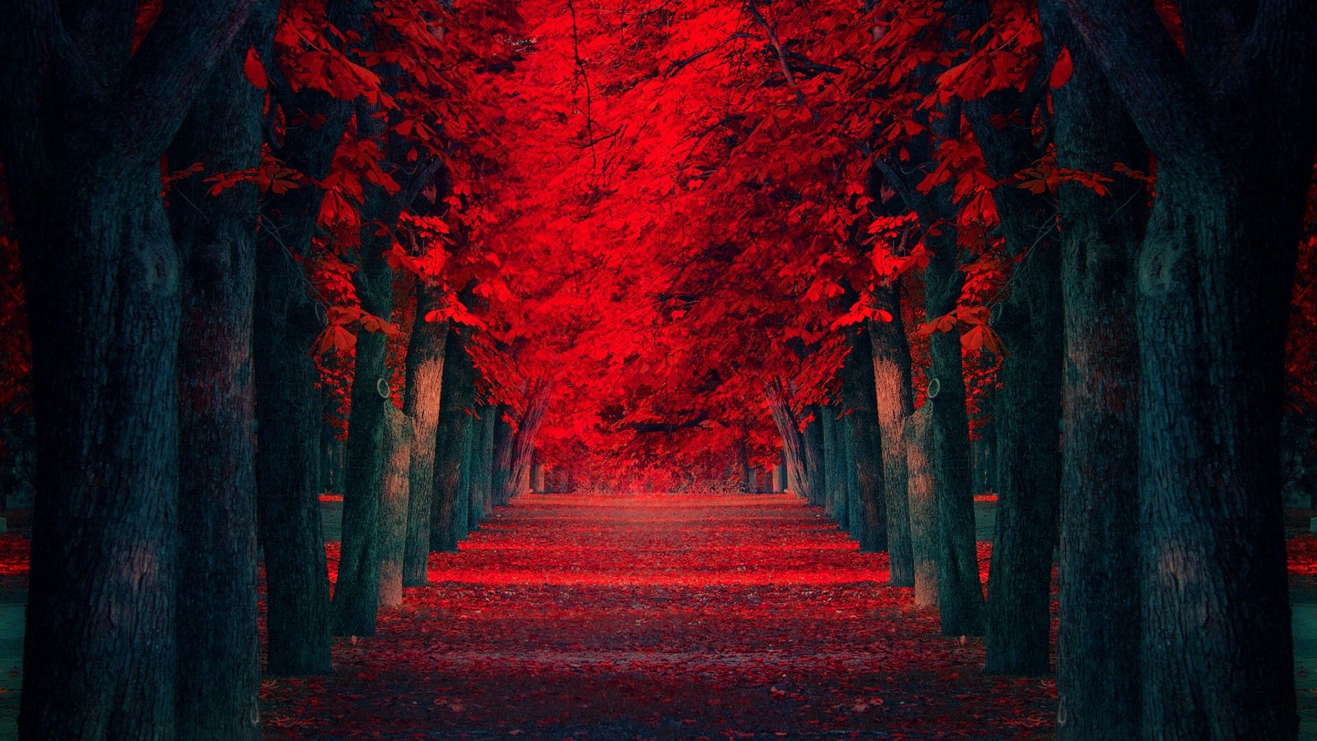 Dark Autumn Wallpapers