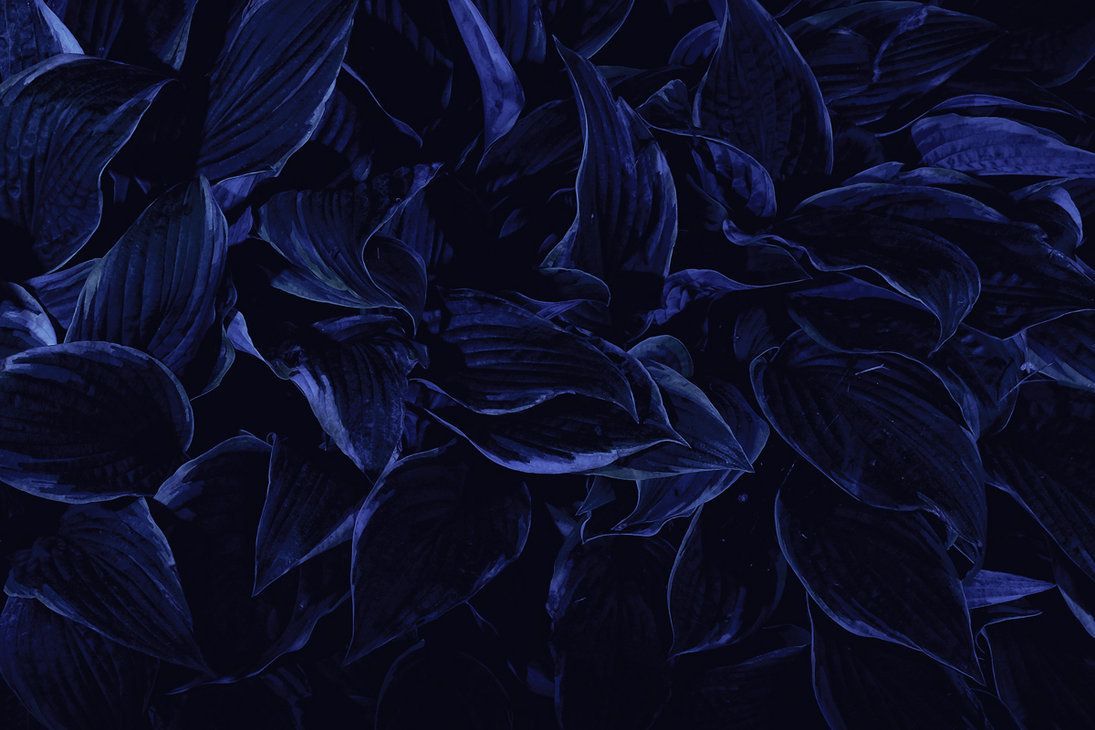 Dark Blue Aesthetic Desktop Wallpapers