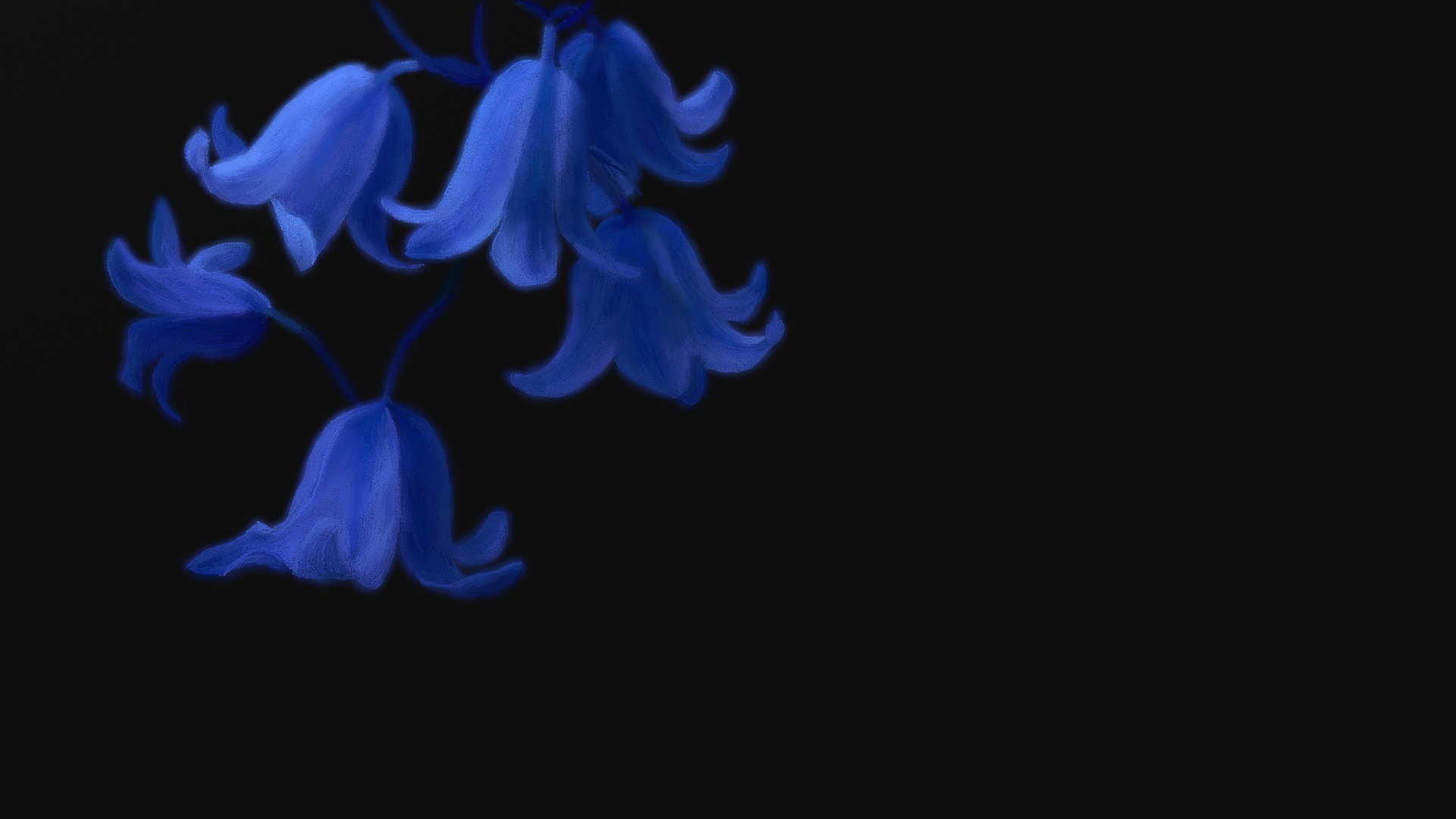 Dark Blue Flower Aesthetic Wallpapers