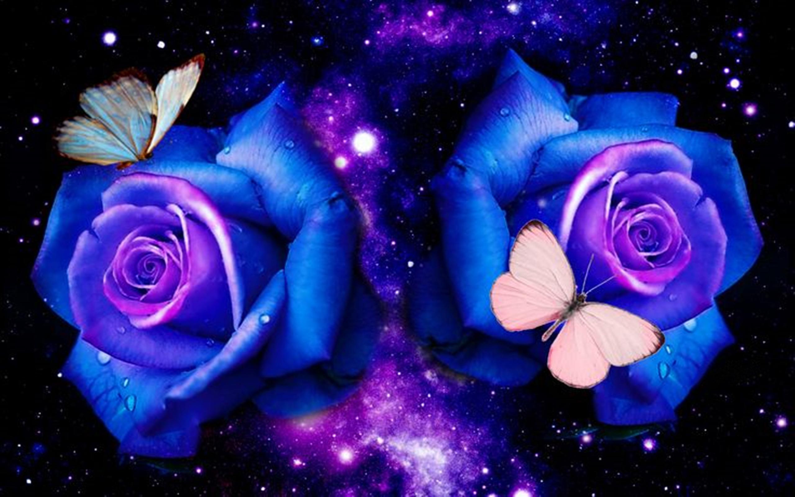 Dark Blue Rose Abstract Wallpapers