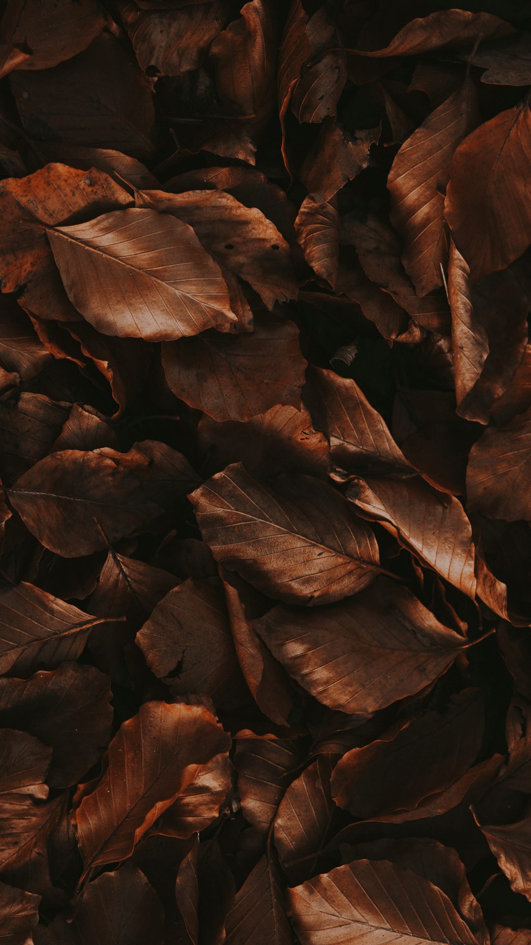 Dark Brown Aesthetic Wallpapers