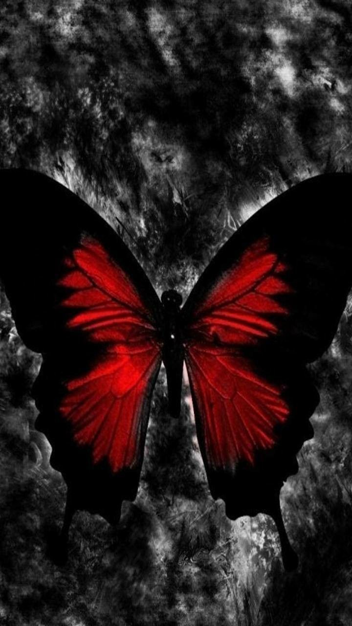 Dark Butterfly Wallpapers