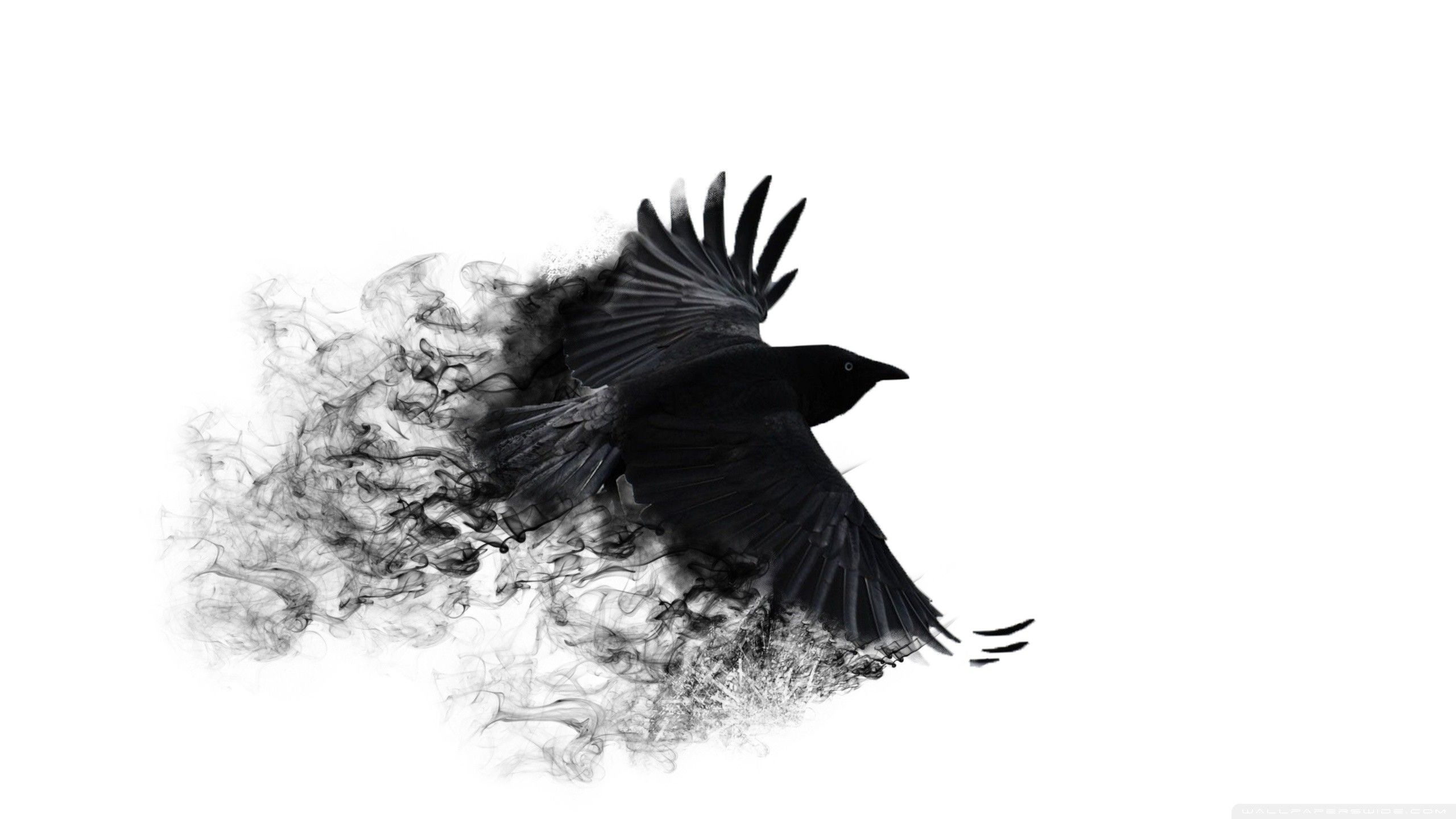 Dark Crow Wallpapers