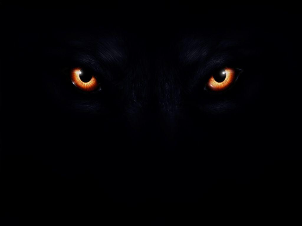 Dark Evil Wolf Wallpapers