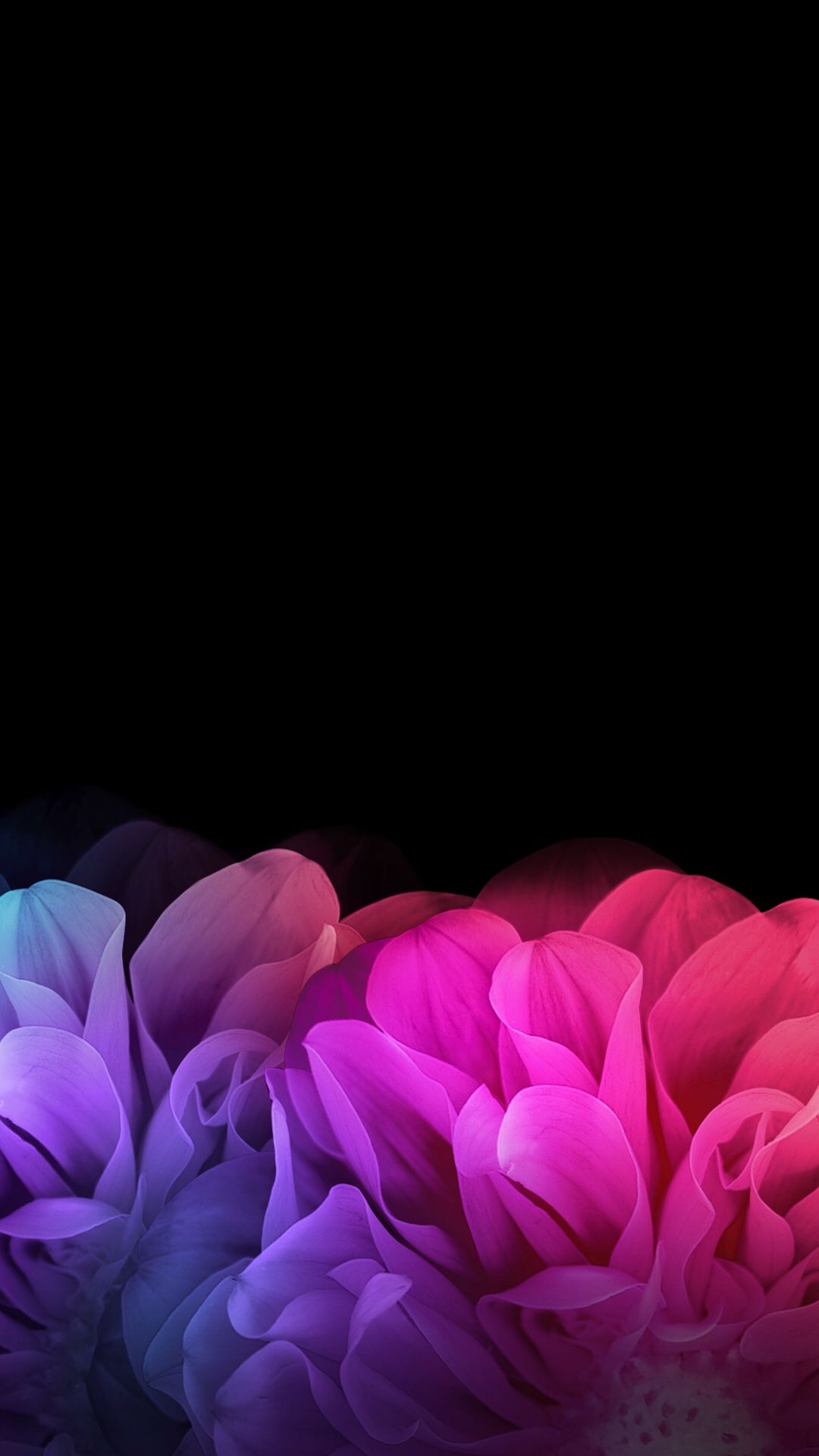 Dark Floral Iphone Wallpapers