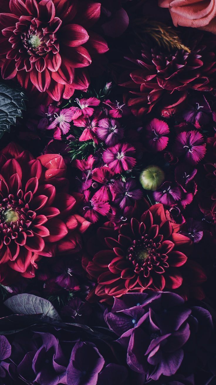 Dark Floral Iphone Wallpapers