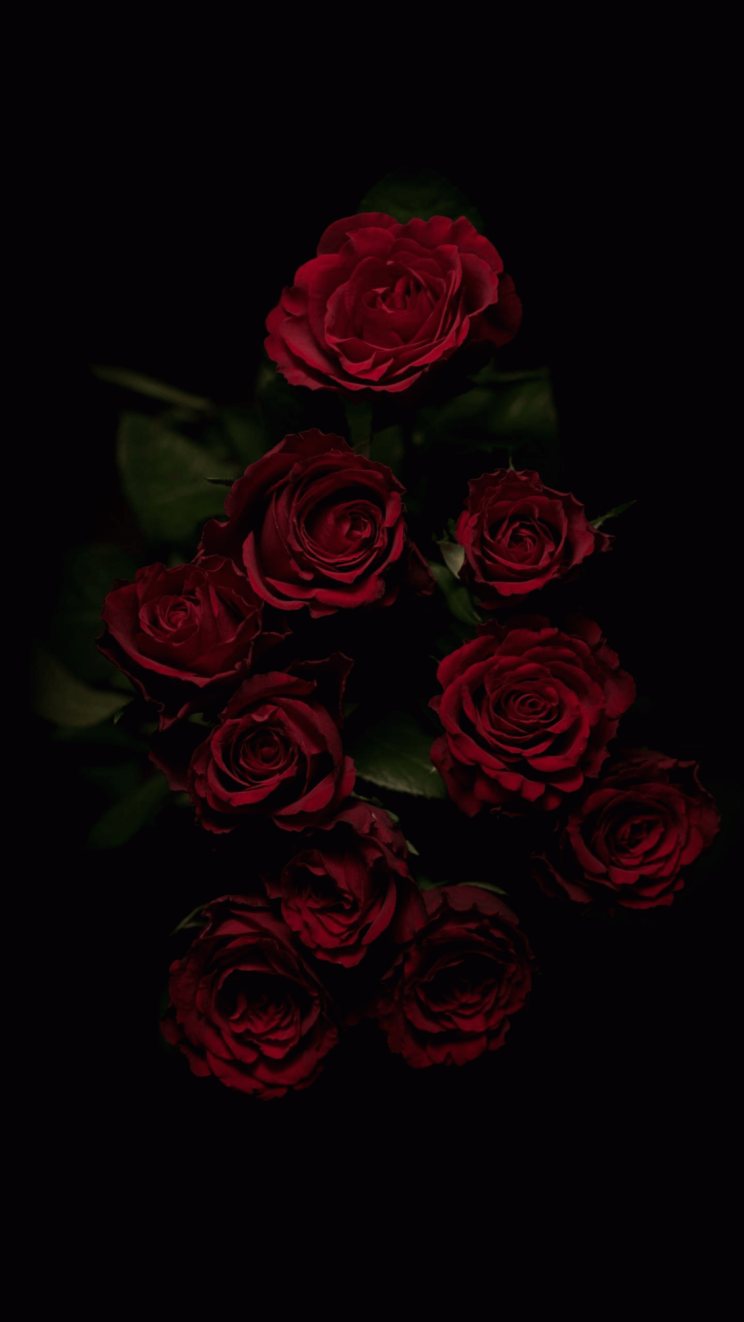 Dark Flower Aesthetic Wallpapers