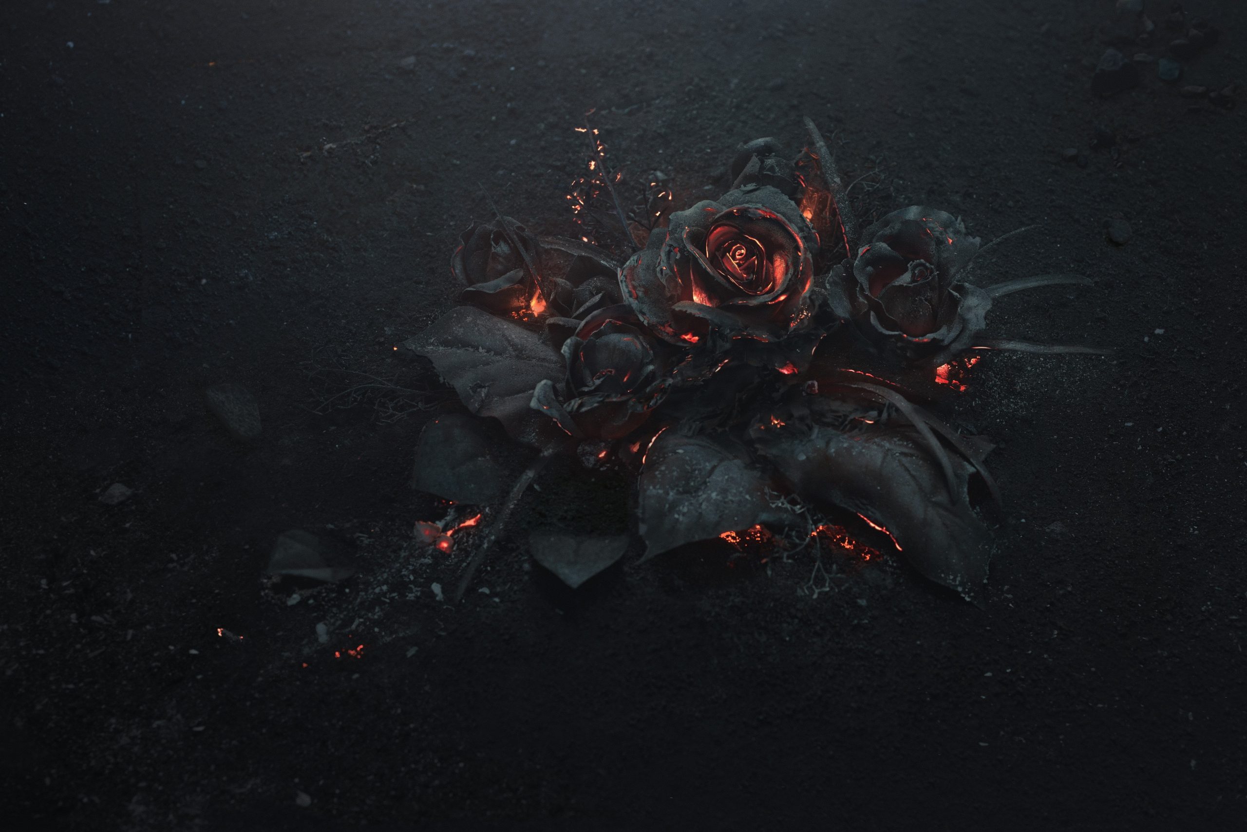 Dark Flower Aesthetic Wallpapers