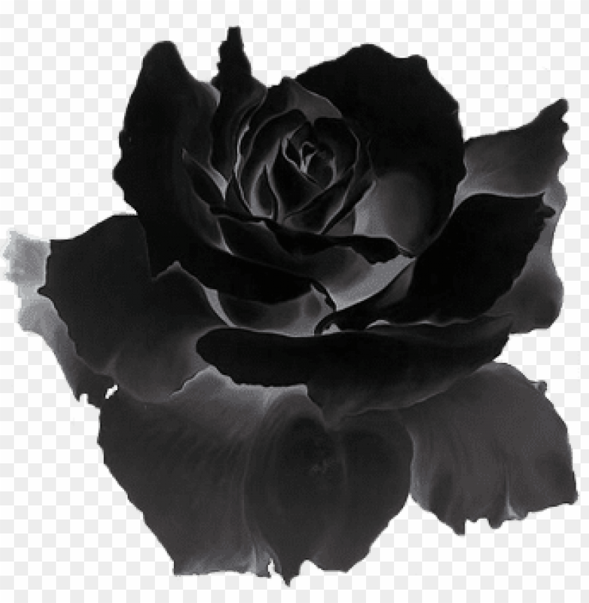 Dark Flower Aesthetic Wallpapers