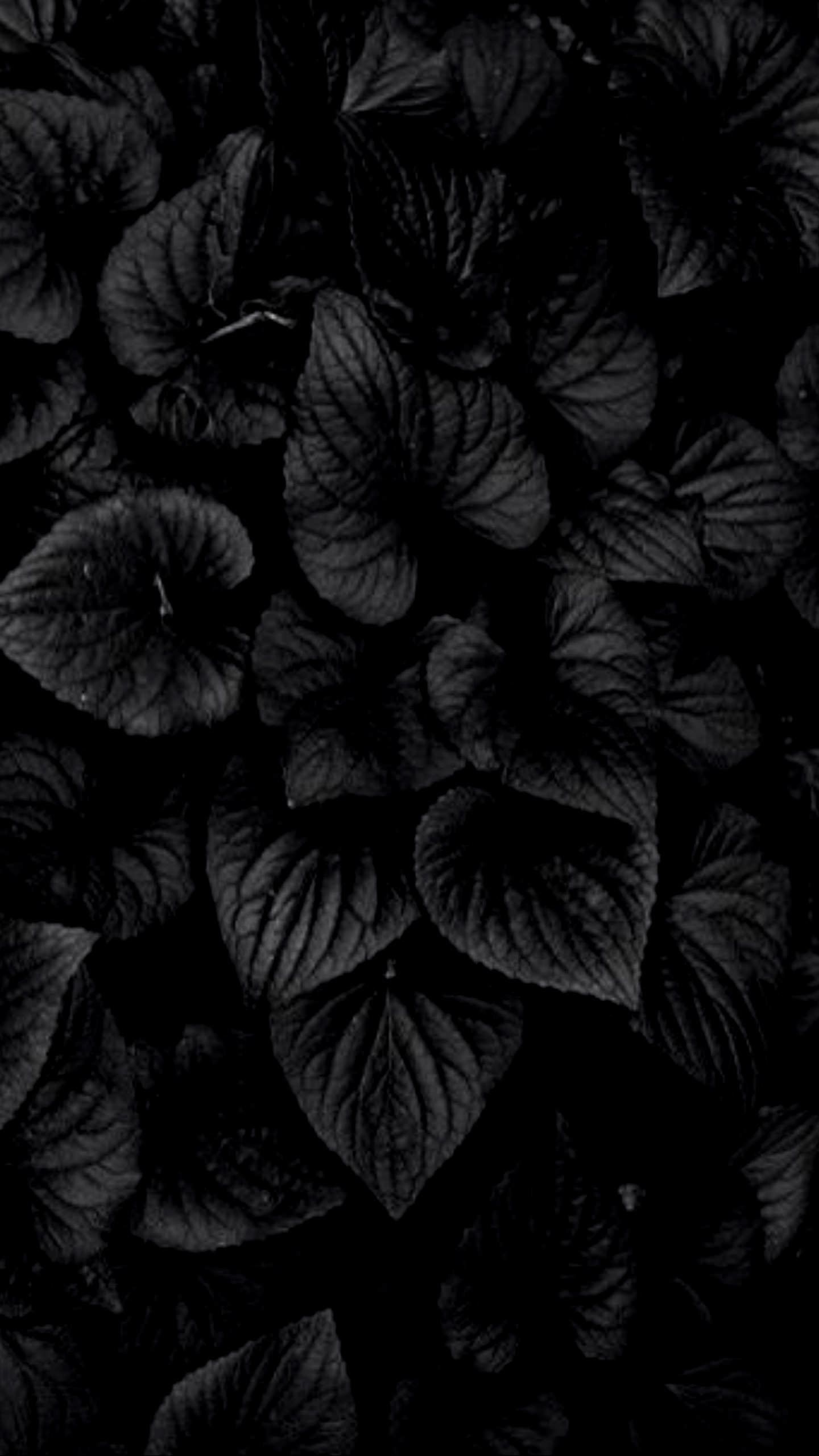 Dark Flower Phone Wallpapers