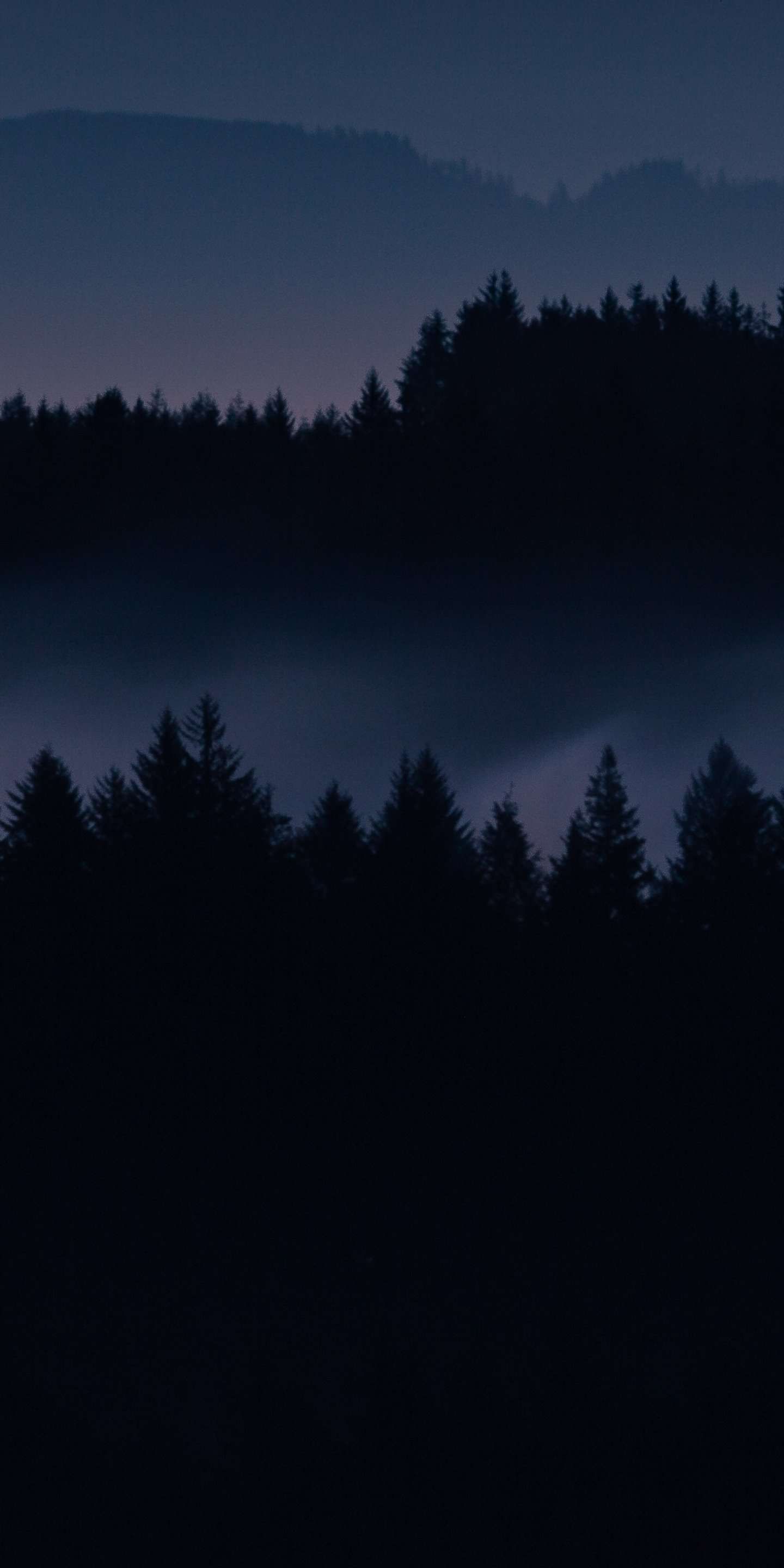 Dark Forest Wallpapers