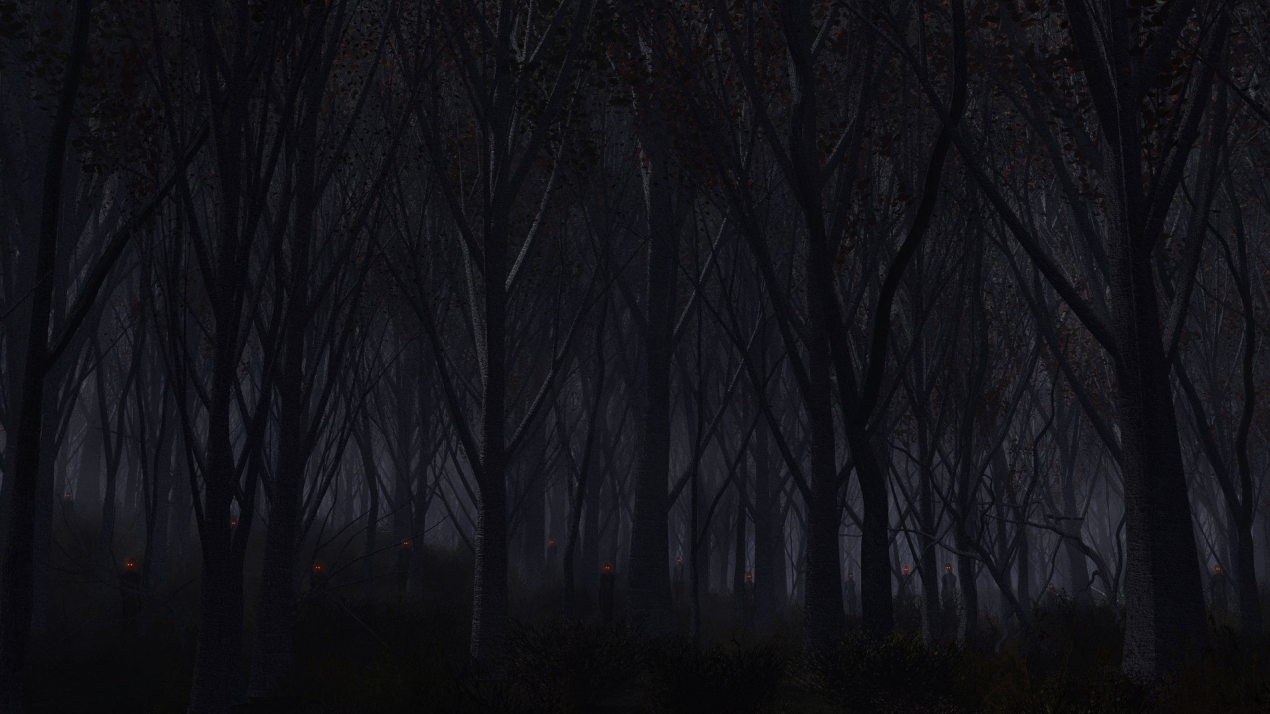 Dark Forest Wallpapers