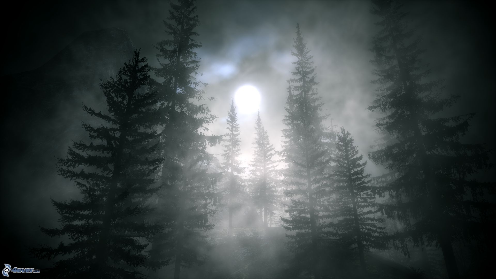 Dark Forest Moon Wallpapers