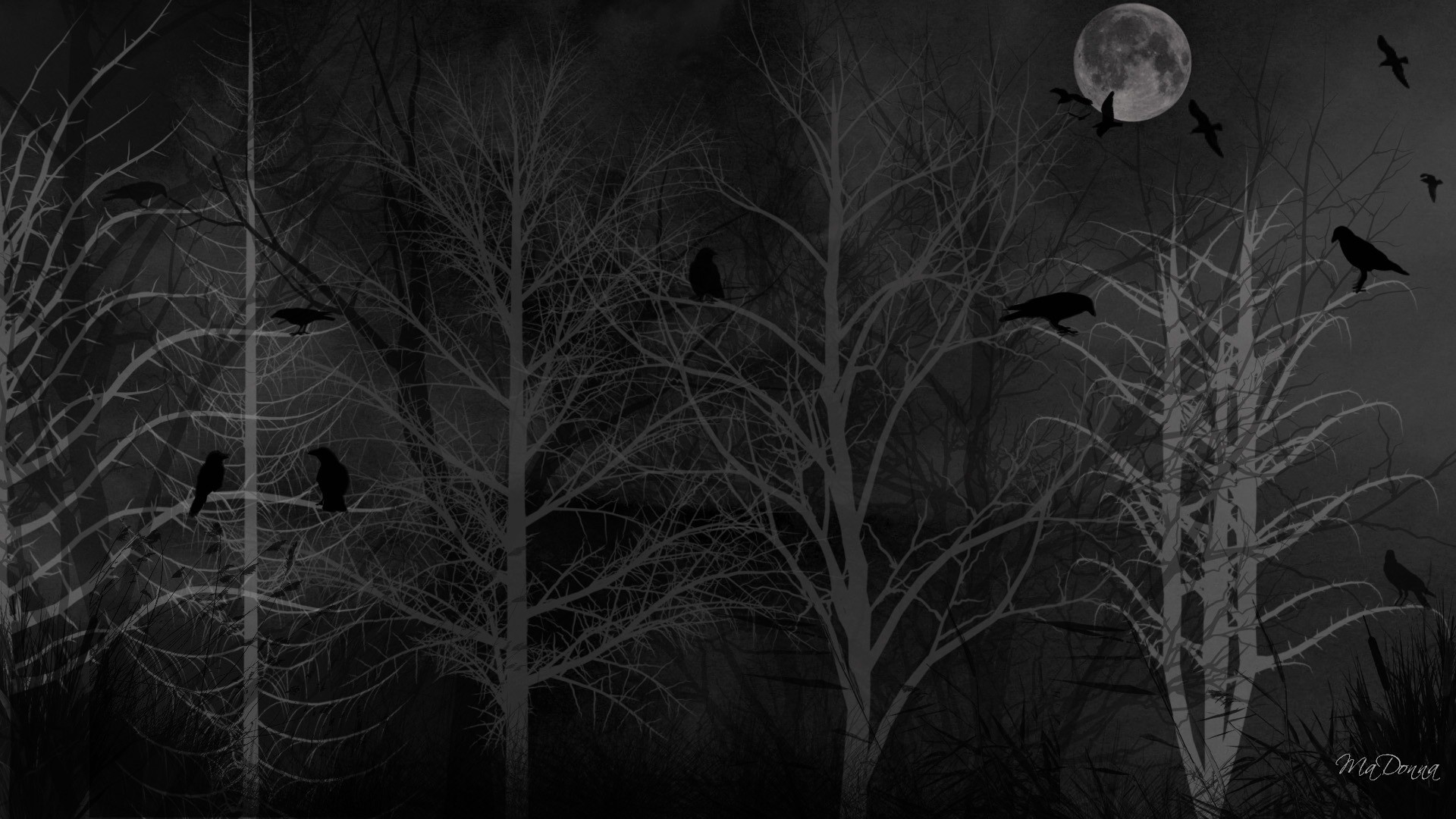 Dark Forest Moon Wallpapers