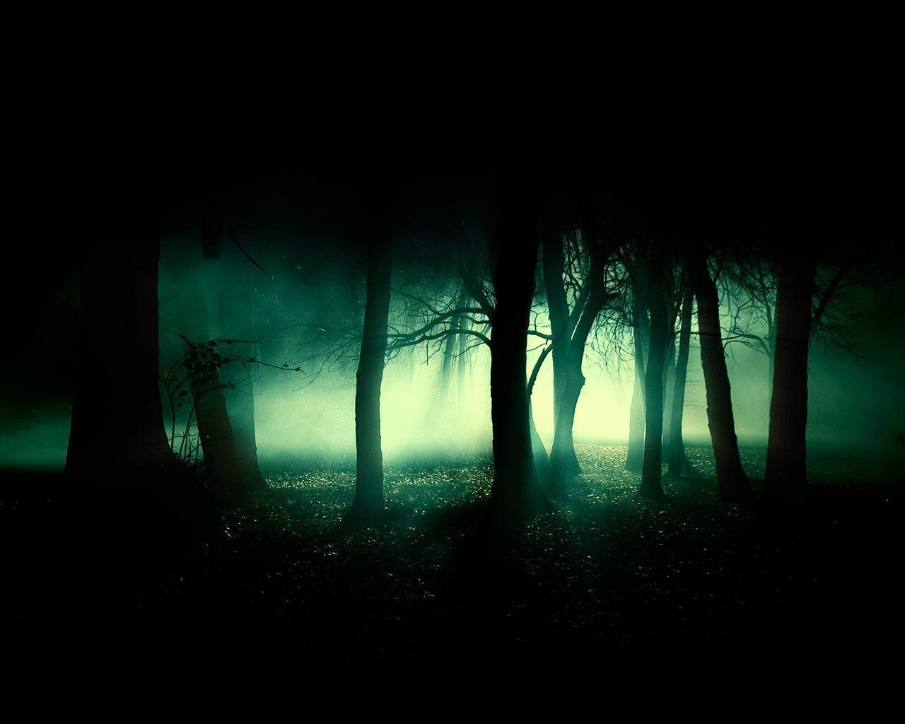 Dark Forest Wolf Wallpapers