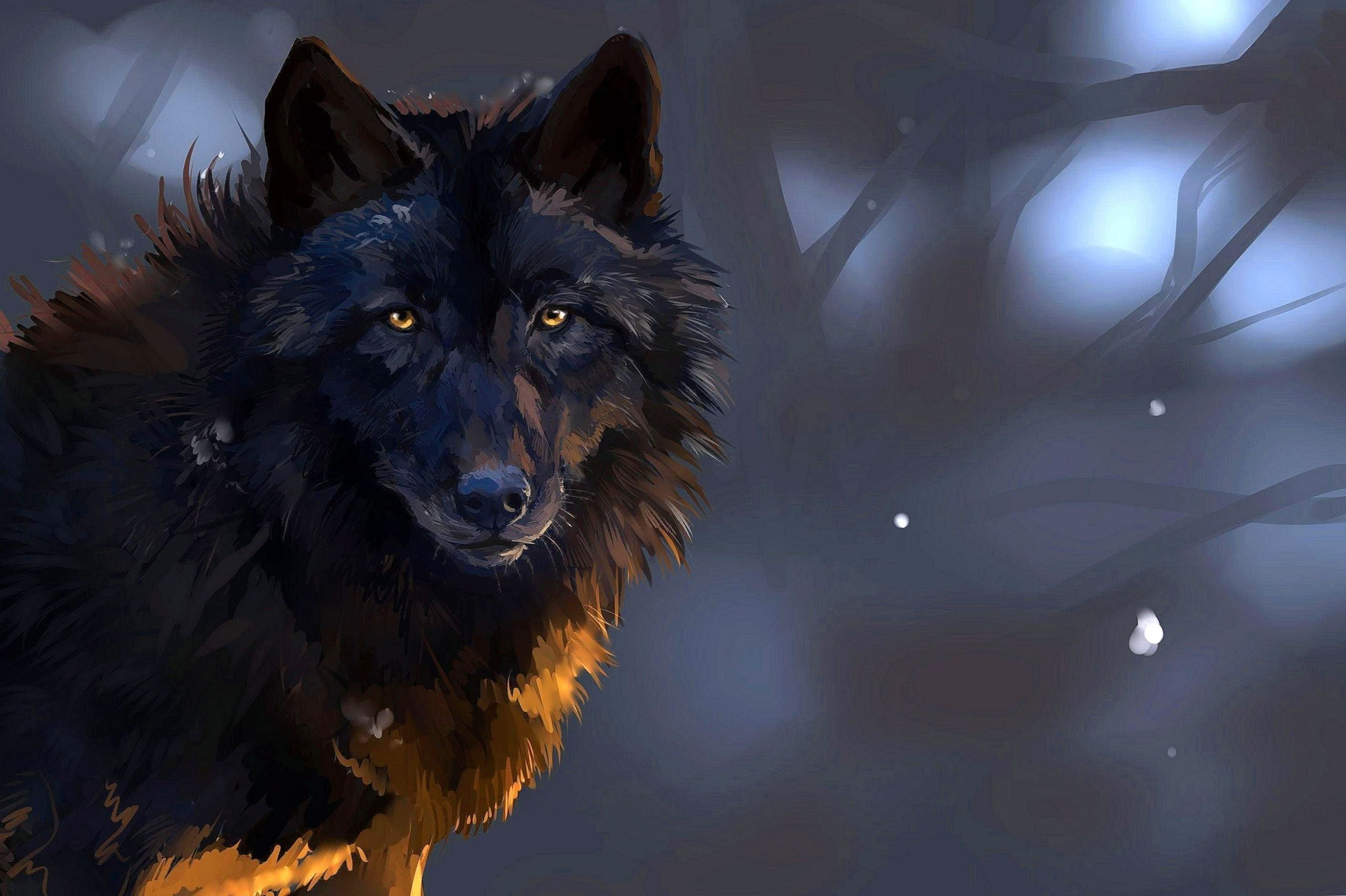 Dark Forest Wolf Wallpapers