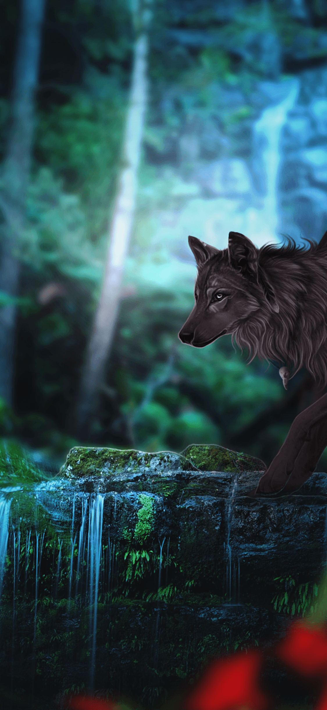 Dark Forest Wolf Wallpapers