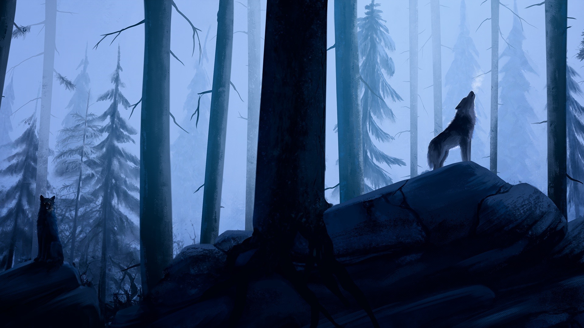 Dark Forest Wolf Wallpapers