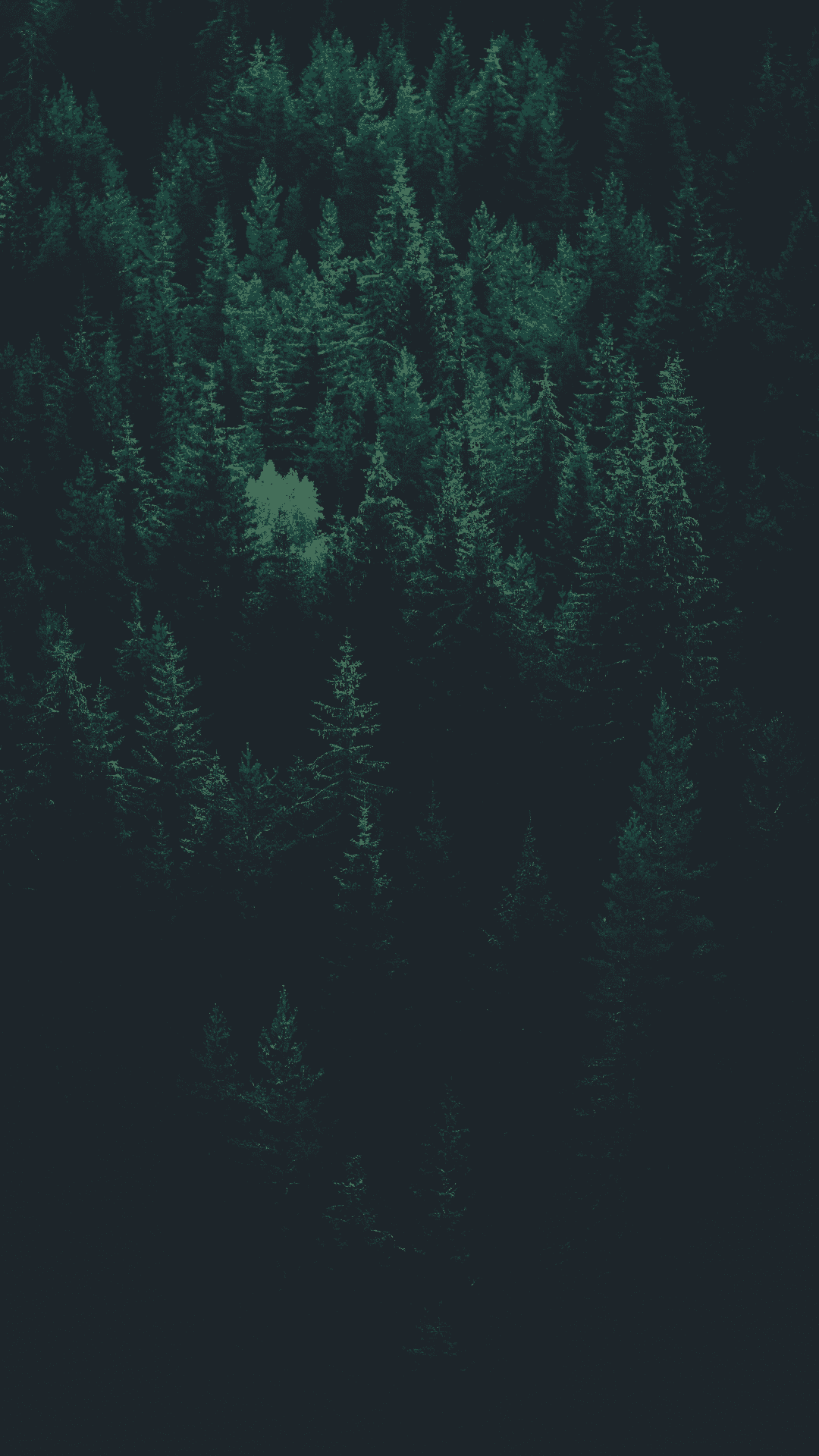 Dark Green Aesthetic Wallpapers