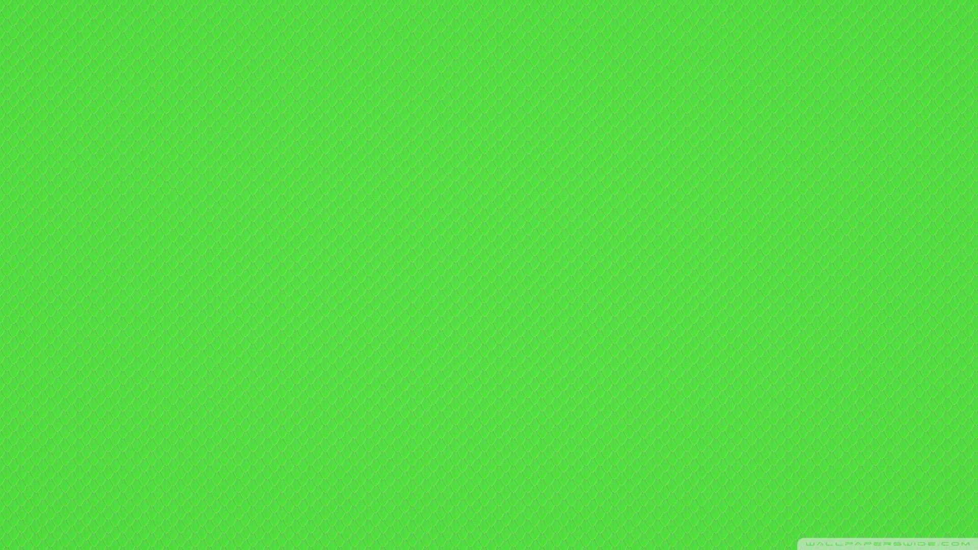 Dark Green Plain Wallpapers