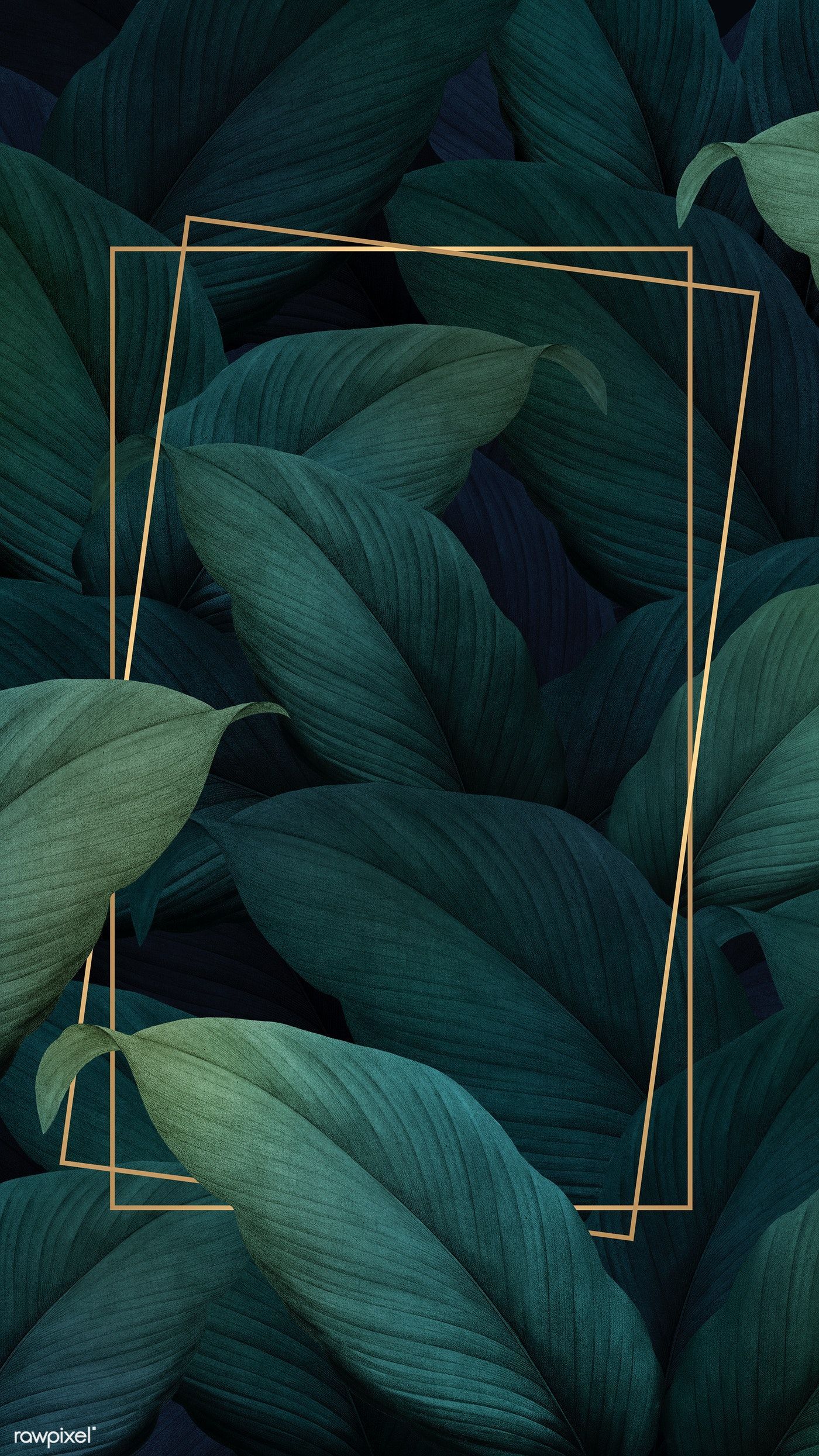 Dark Leaves Aesthetic Wallpapers