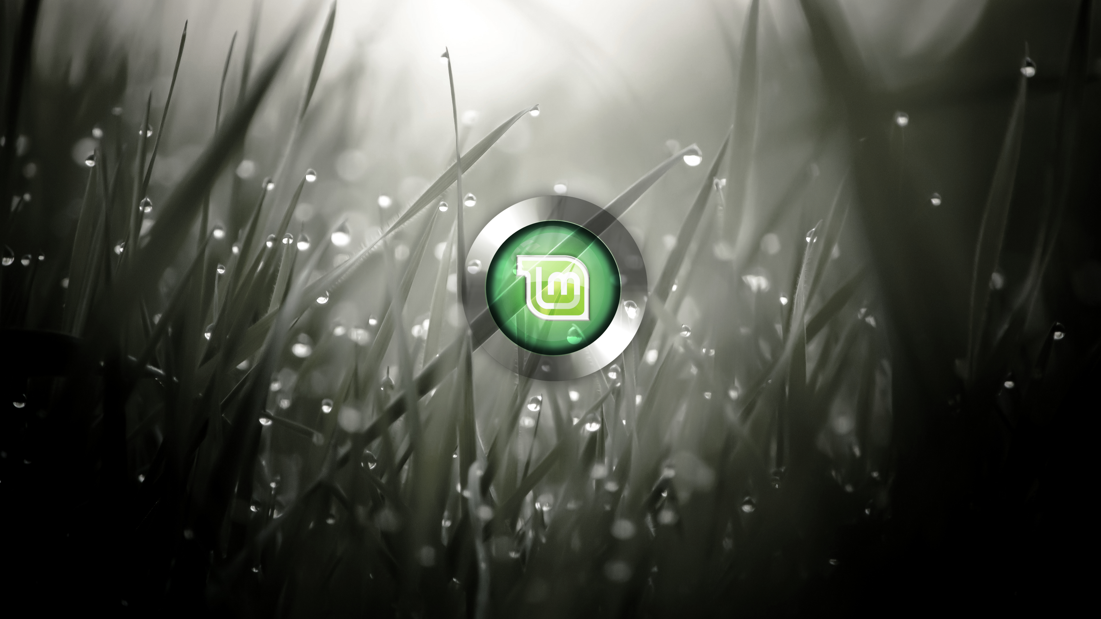 Dark Linux Mint Wallpapers