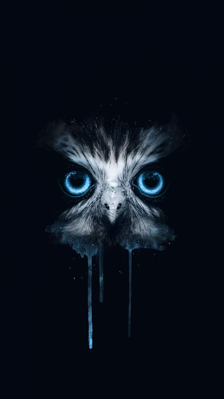 Dark Owl Wallpapers