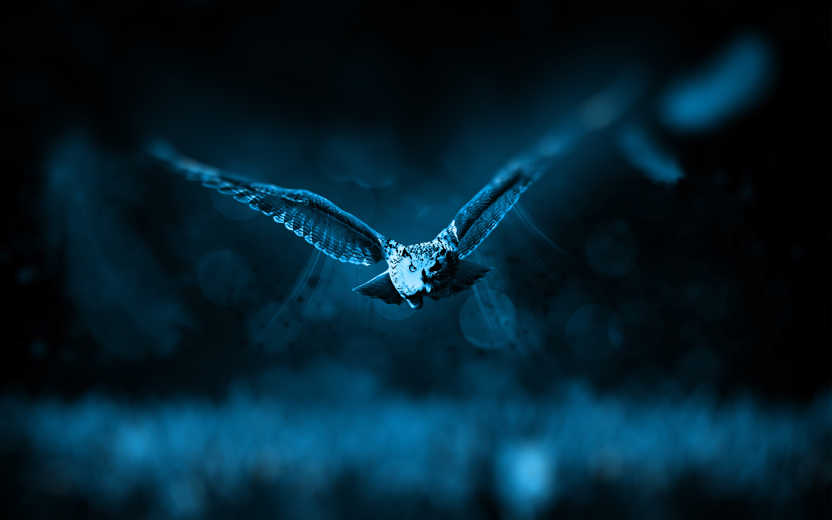 Dark Owl Wallpapers