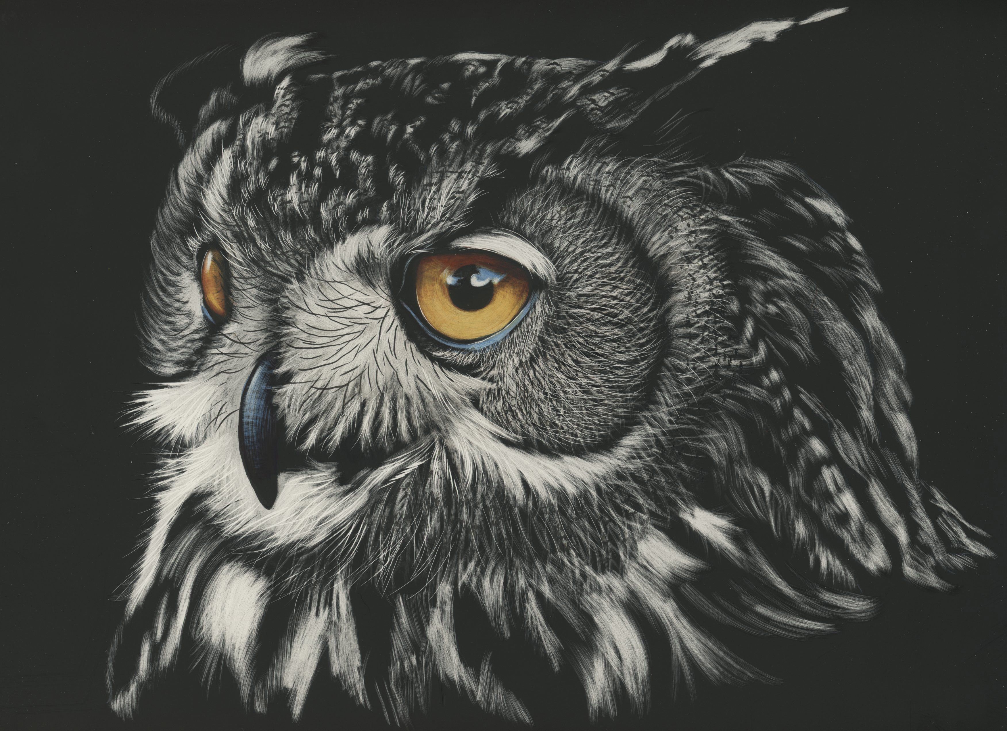 Dark Owl Wallpapers