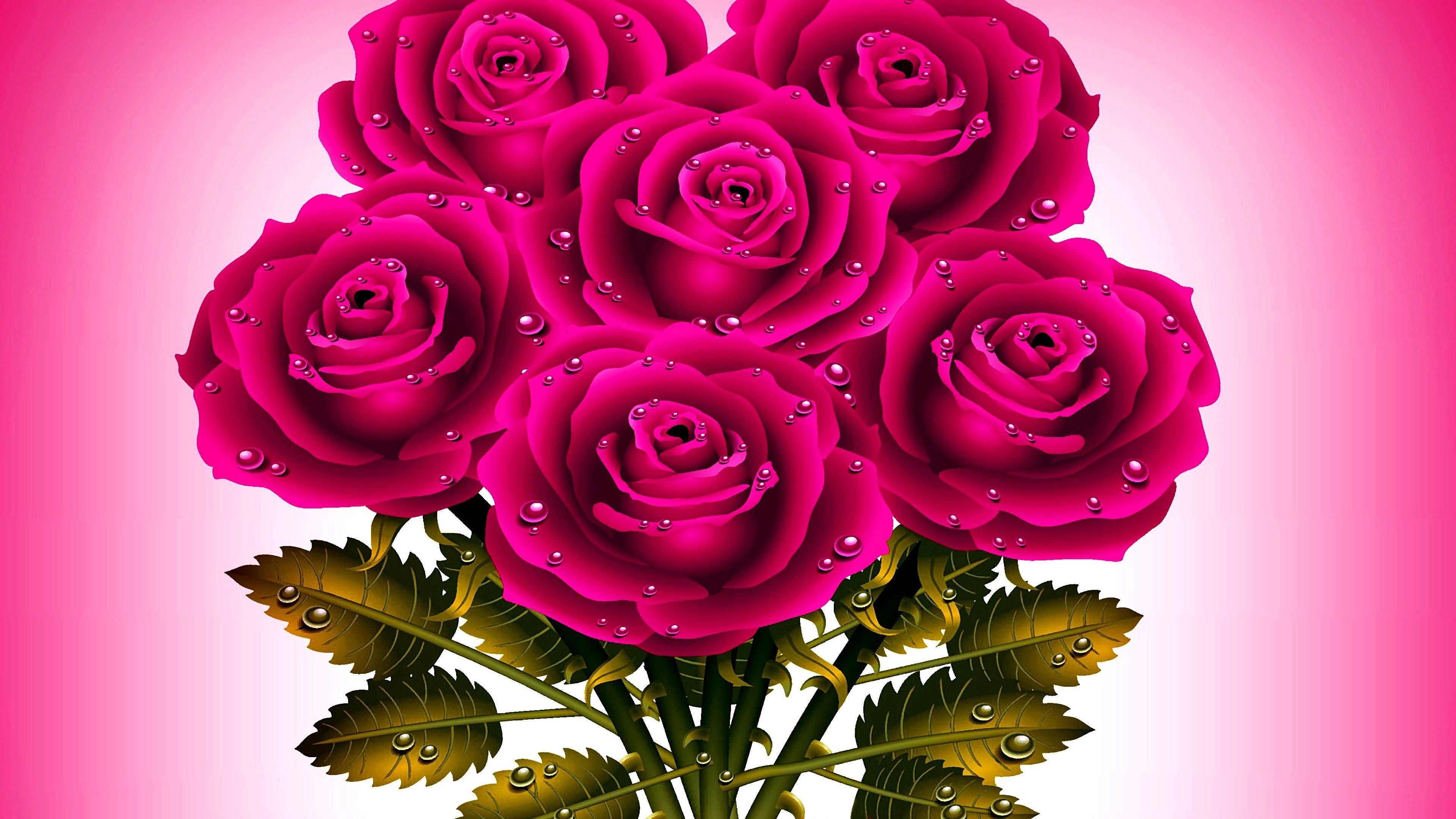 Dark Pink Roses Wallpapers