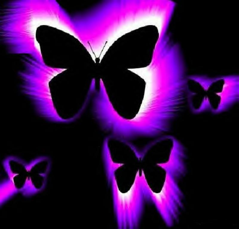 Dark Purple Butterfly Wallpapers