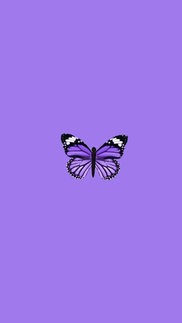 Dark Purple Butterfly Wallpapers