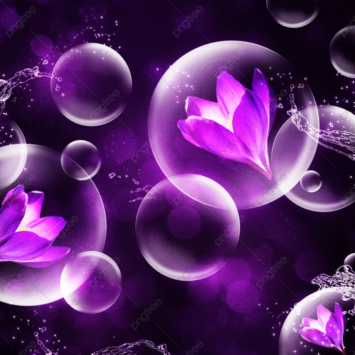 Dark Purple Flower Wallpapers