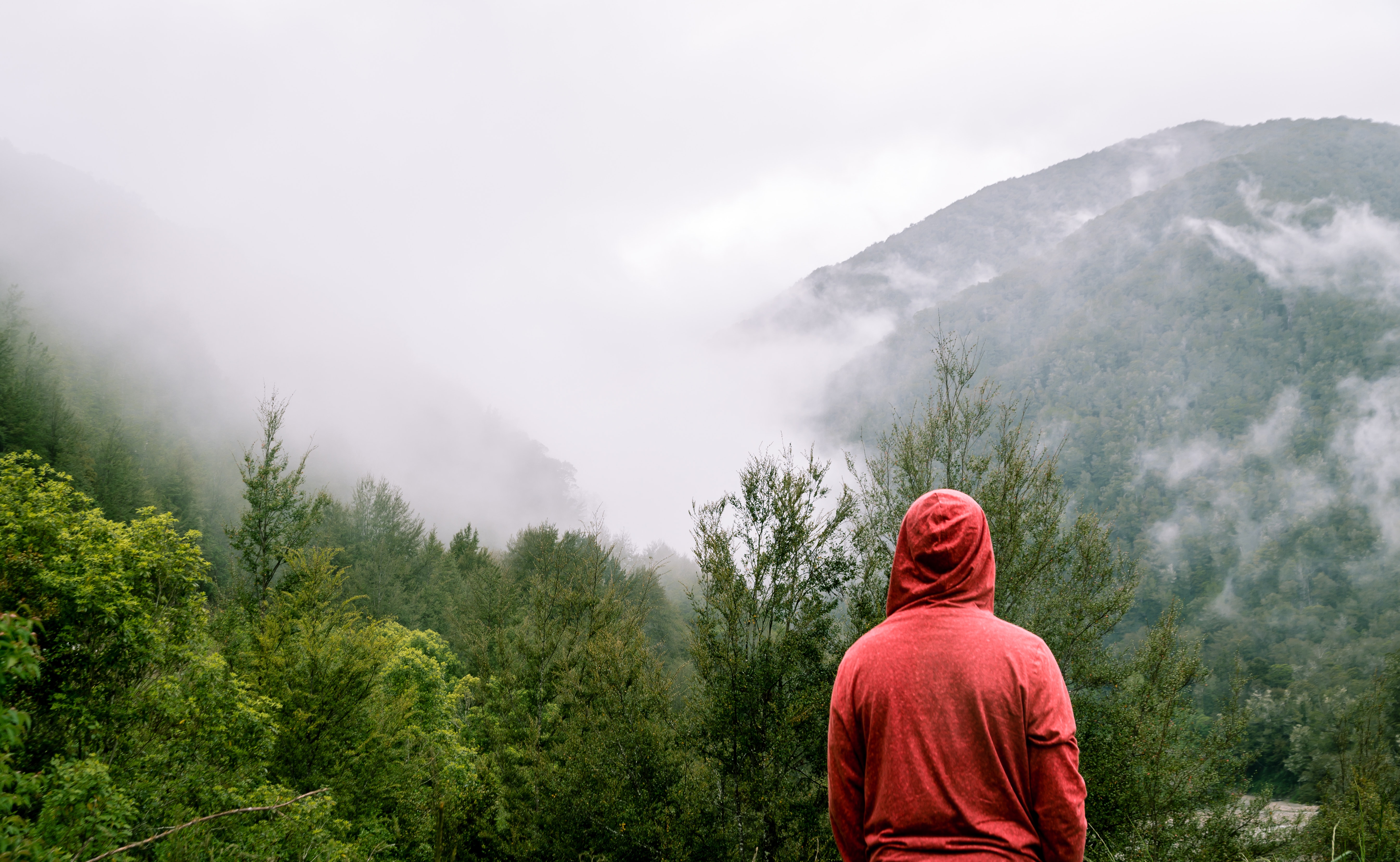 Dark Rainy Forest Wallpapers