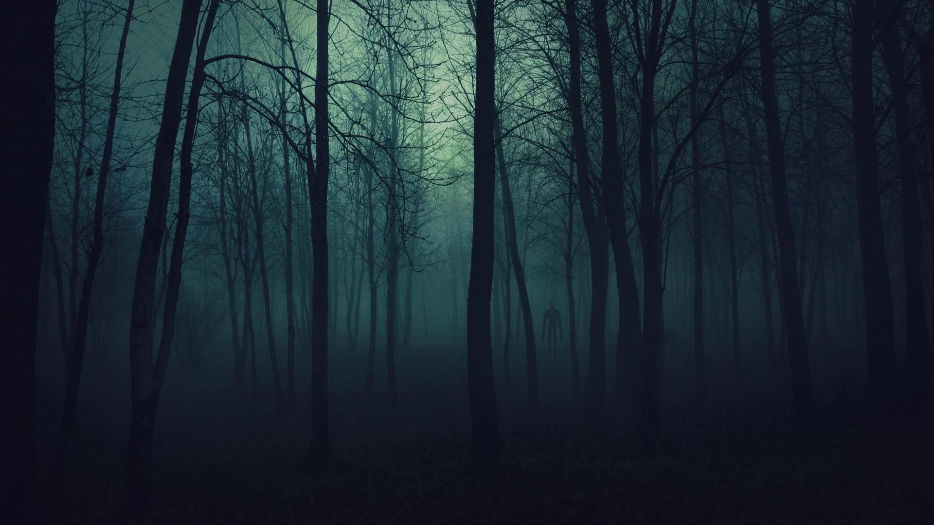 Dark Rainy Forest Wallpapers