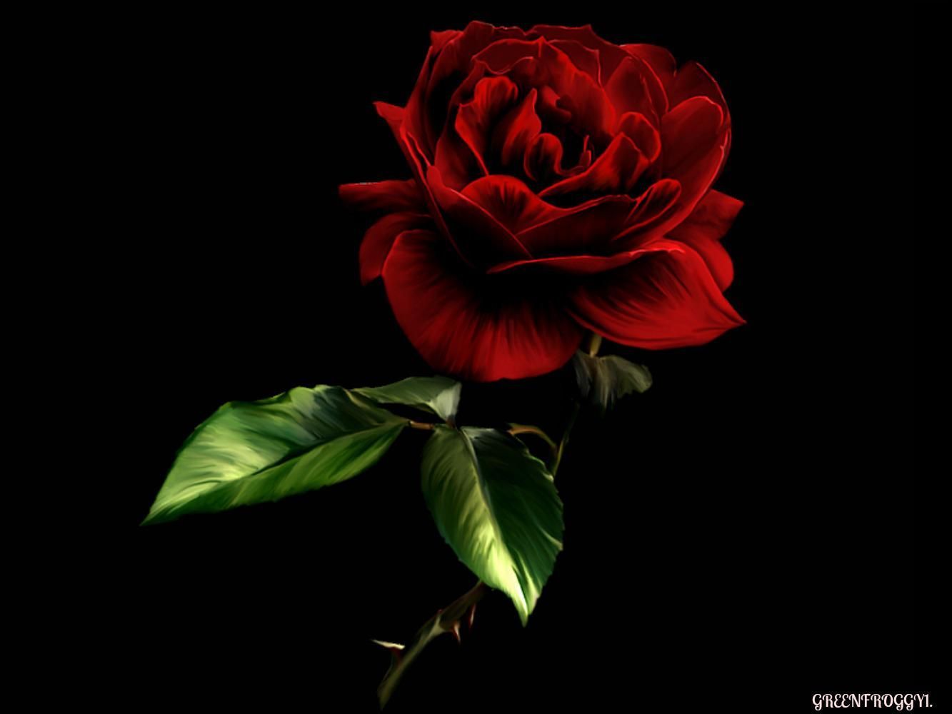 Dark Red Flower Wallpapers