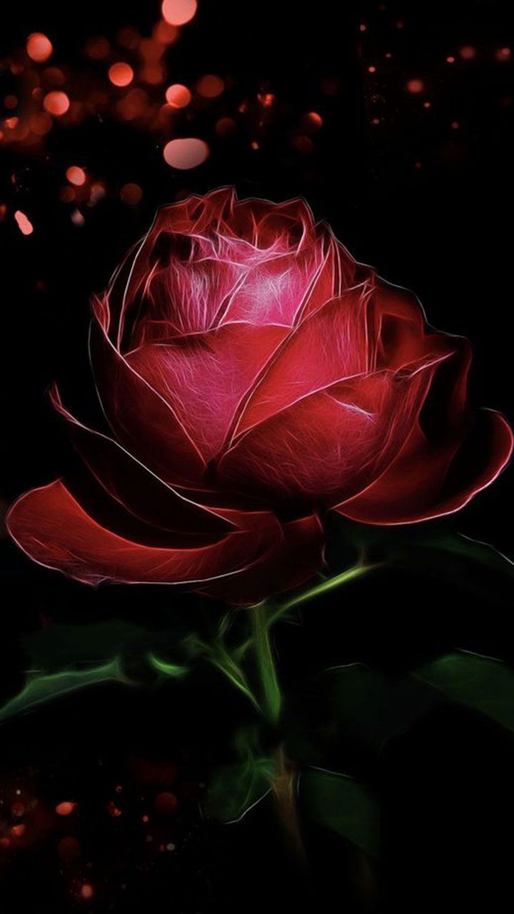 Dark Red Flower Wallpapers