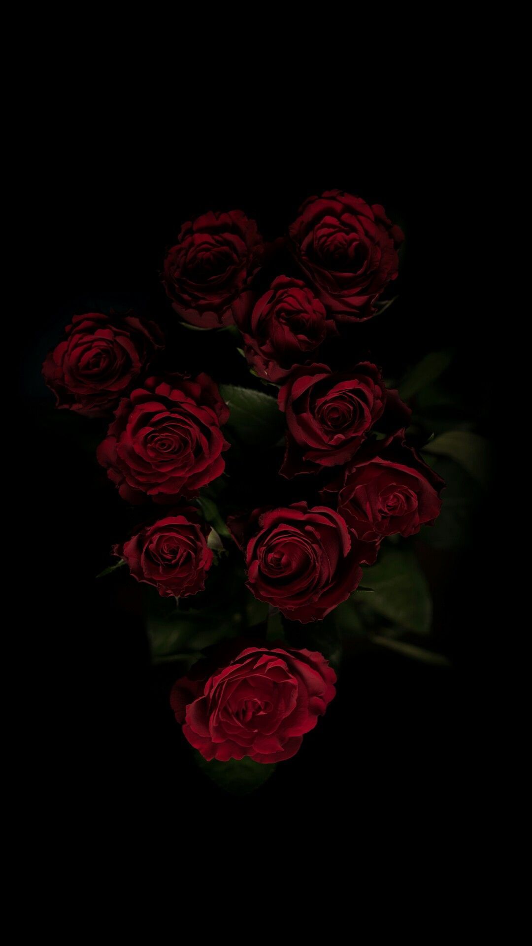 Dark Roses Aesthetic Wallpapers