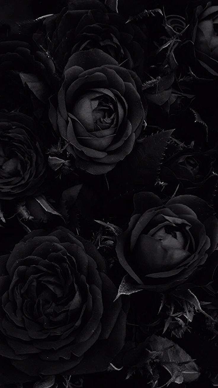 Dark Roses Aesthetic Wallpapers