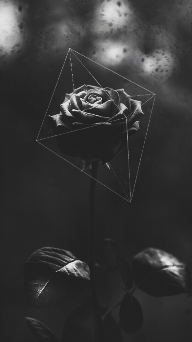 Dark Roses Aesthetic Wallpapers