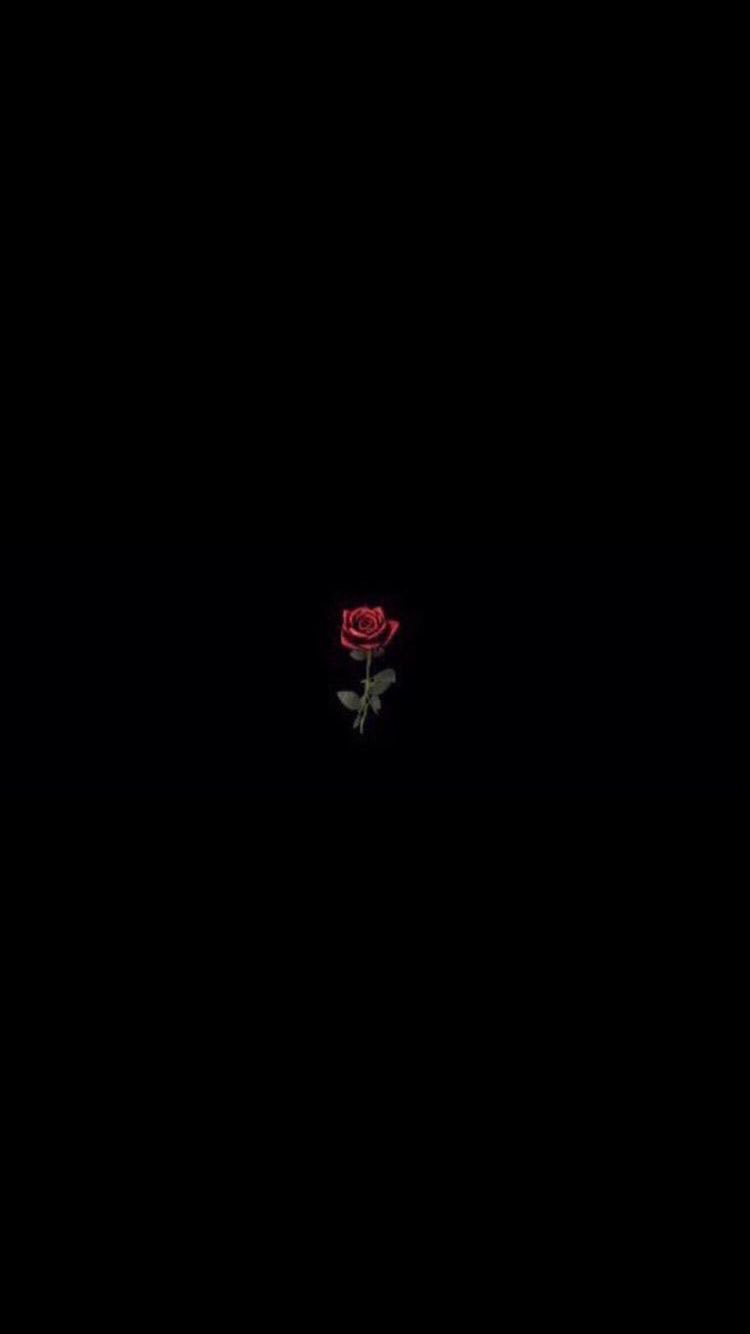 Dark Roses Aesthetic Wallpapers