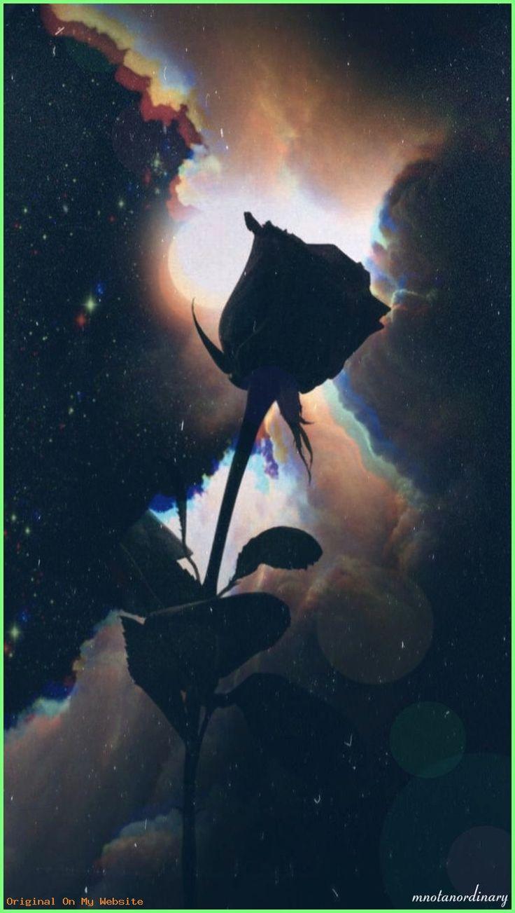 Dark Roses Aesthetic Wallpapers