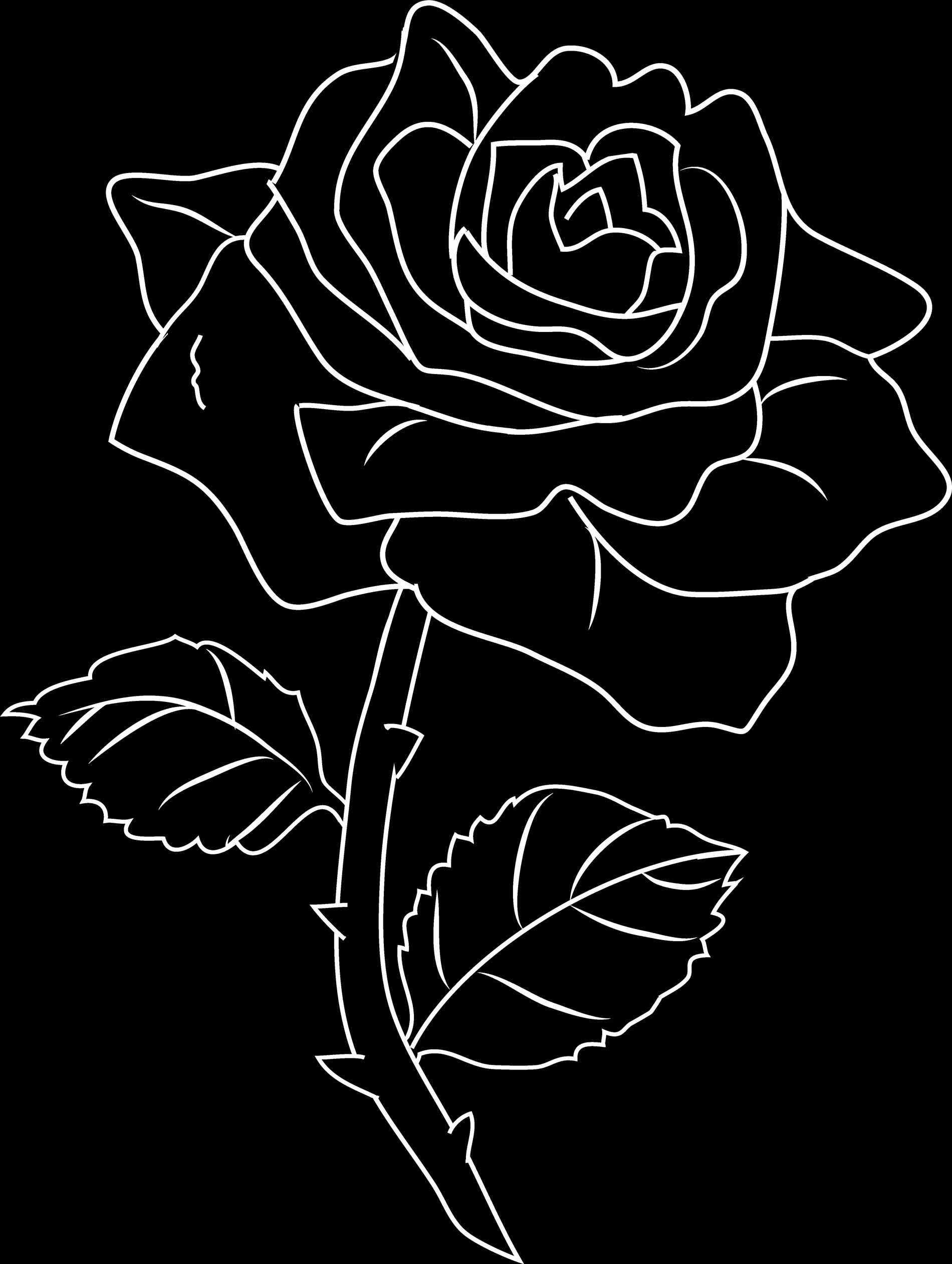 Dark Roses Aesthetic Wallpapers