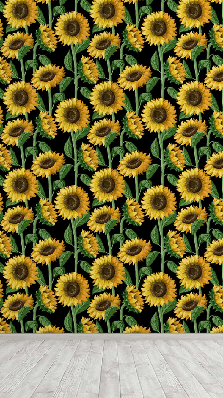 Dark Sunflower Wallpapers