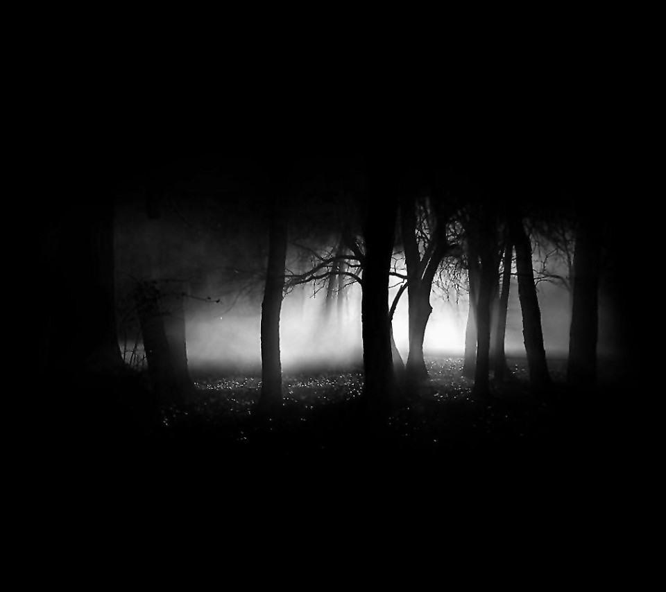 Dark Tree Wallpapers