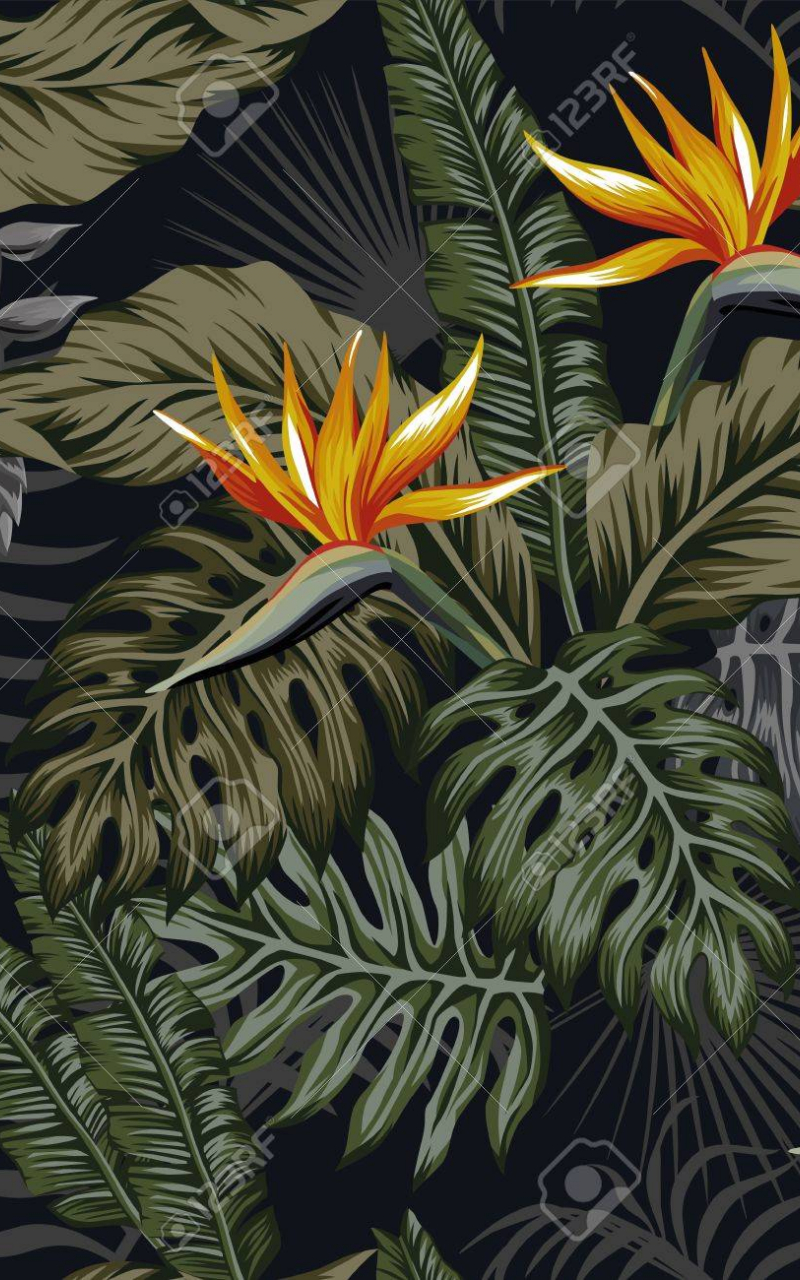 Dark Tropical Wallpapers