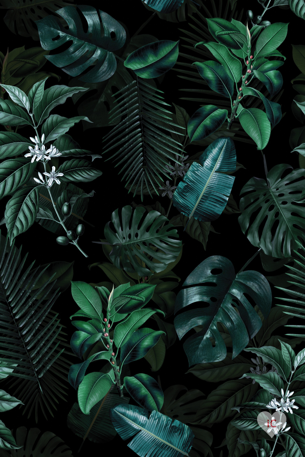 Dark Tropical Wallpapers