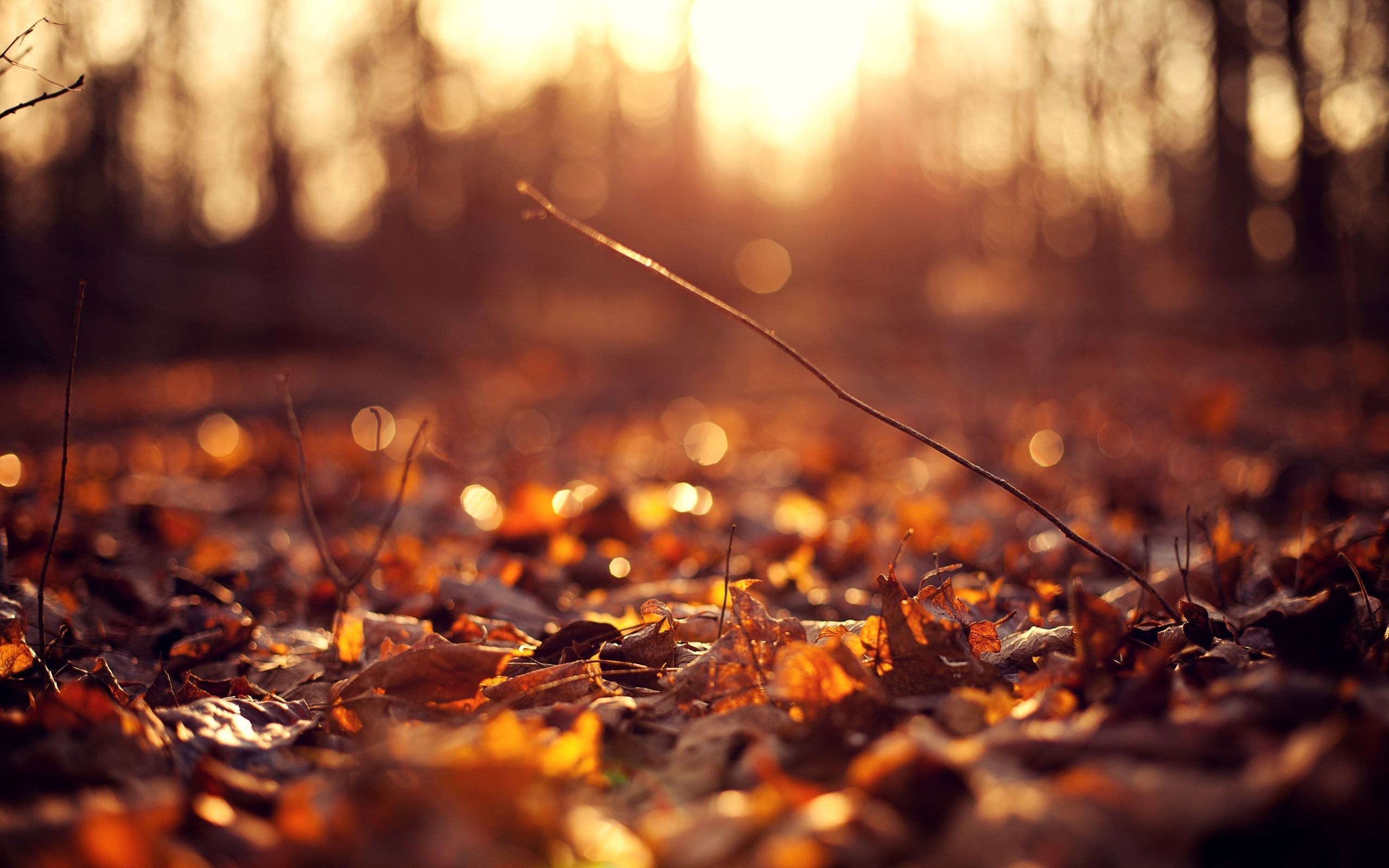 Dark Vintage Autumn Wallpapers